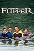 Primary photo for Flipper