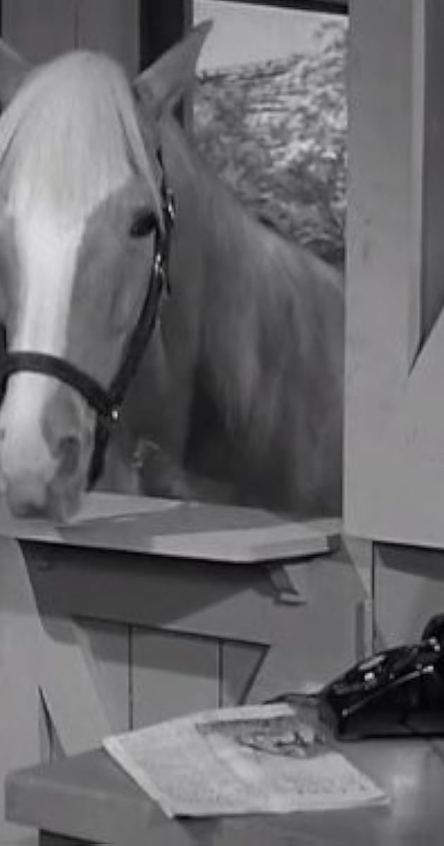 "Mister Ed" Wilbur Sells Ed (TV Episode 1961) IMDb