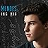 Primary photo for Shawn Mendes: Something Big Primary photo for Shawn Mendes: Something Big