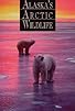 Primary photo for Alaska's Arctic Wildlife Primary photo for Alaska's Arctic Wildlife