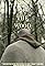King of the Wood's primary photo