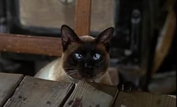 पोस्टर देखें