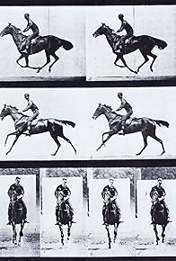 Primary photo for Horse Bouquet Galloping, Saddled with Rider