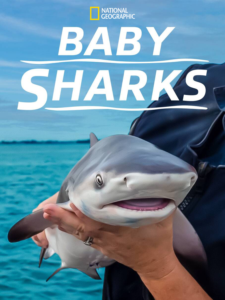 Poster of Baby Sharks
