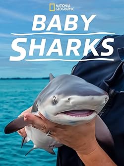 Poster of Baby Sharks