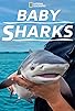 Primary photo for Baby Sharks Primary photo for Baby Sharks