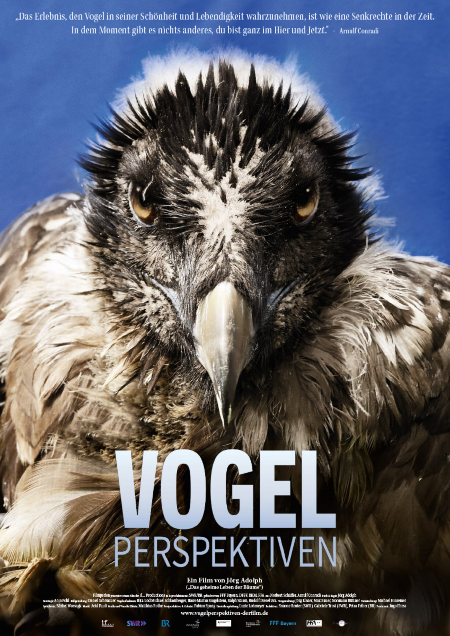 Poster of Vogelperspektiven