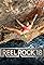 Reel Rock 18's primary photo
