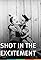 Shot in the Excitement's primary photo