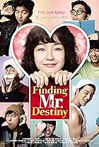 Finding Mr. Destiny (2010) Poster