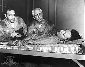 पोस्टर देखें