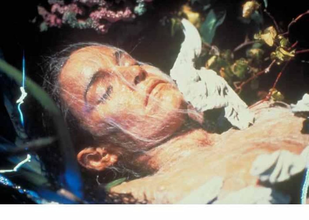 Invasion of the Body Snatchers (1978)