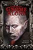 Primary photo for Gnome Alone