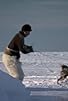 Primary photo for Arctic: Life in the Deep Freeze Primary photo for Arctic: Life in the Deep Freeze