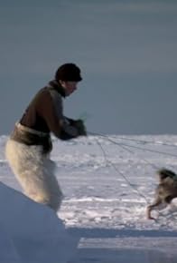 Primary photo for Arctic: Life in the Deep Freeze