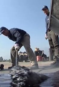 Primary photo for Hot Tar Roofer