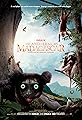 Island of Lemurs: Madagascar's primary photo