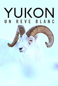 Primary photo for Yukon - Un rêve blanc