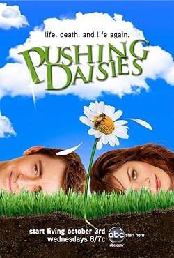 Poster of Pushing Daisies