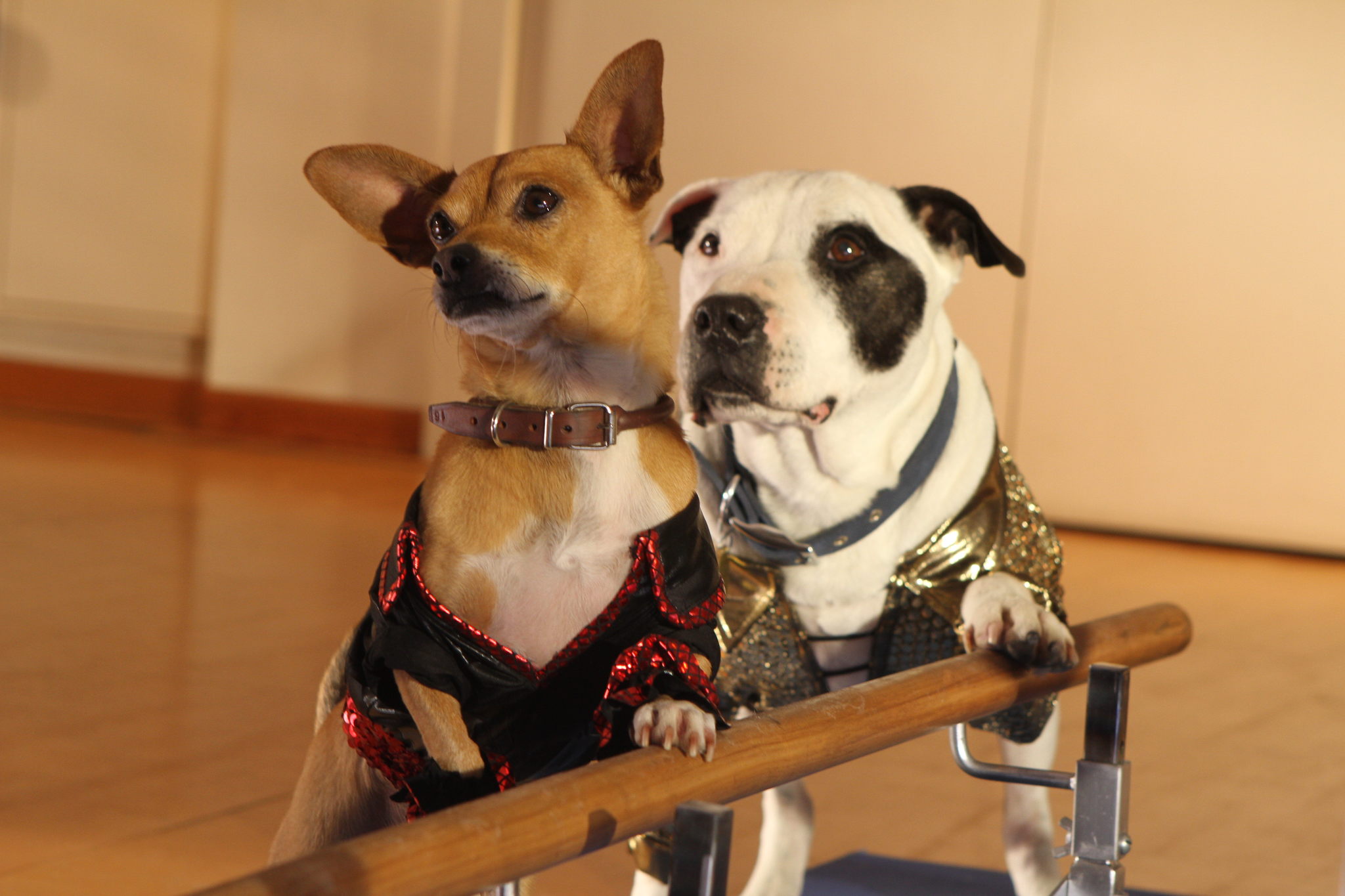 крошка из беверли хиллз 3