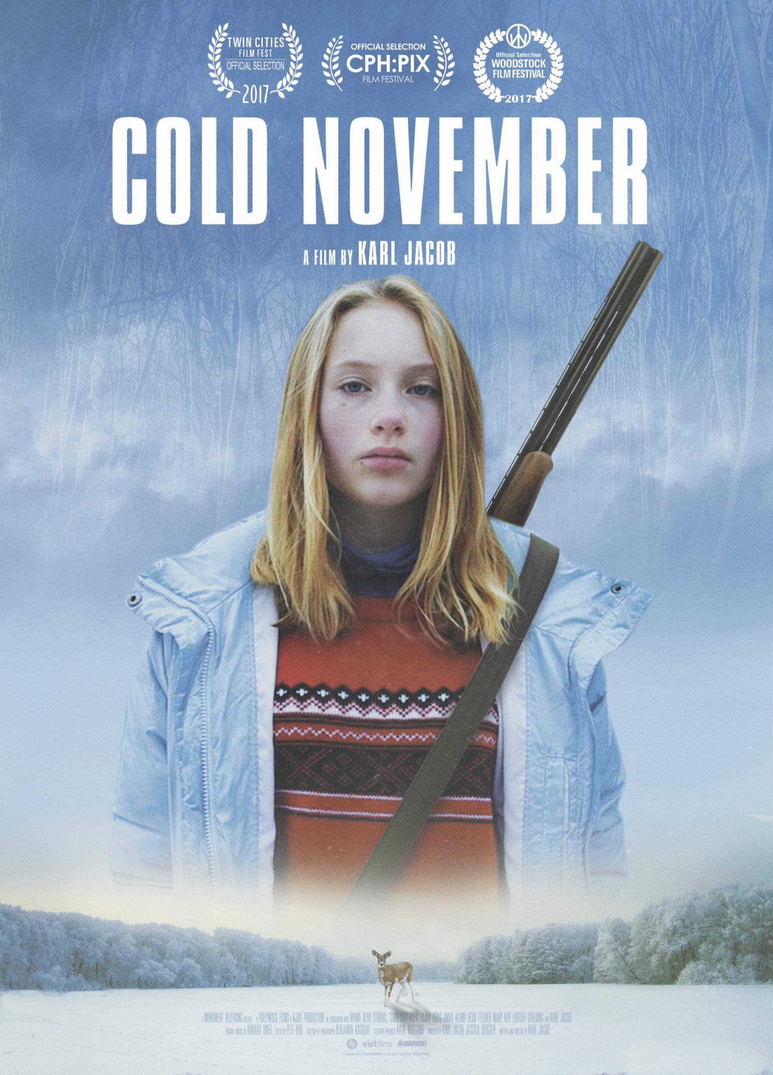 Poster of Cold November