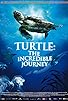 Primary photo for Turtle: The Incredible Journey