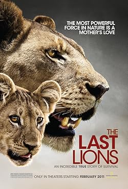 Poster of  The Last Lions