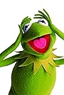 Kermit the Frog's primary photo Kermit the Frog's primary photo