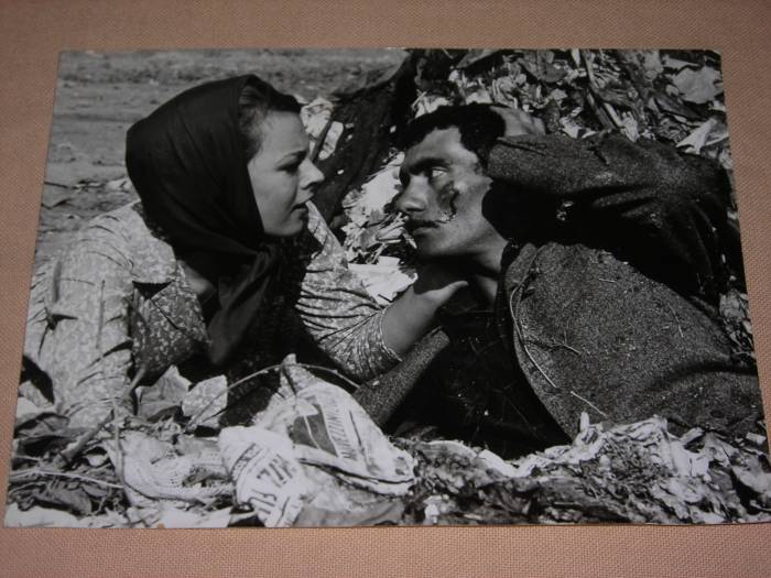 Jinsiy olatni sharlar bilan silash Porno qizlar oralgan bilan