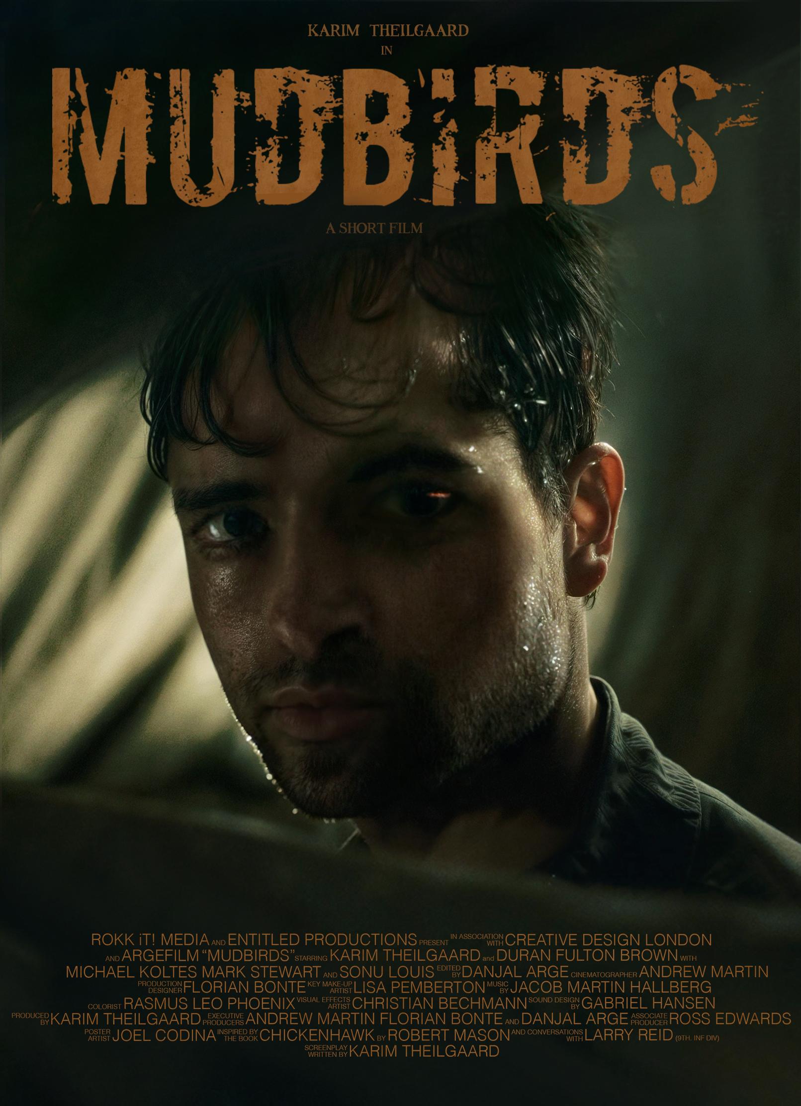 Mudbirds