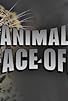 Primary photo for Animal Face Off Primary photo for Animal Face Off