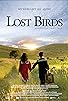 Primary photo for Lost Birds Primary photo for Lost Birds