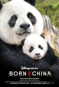 Poster of Born in China