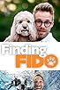 Primary photo for Finding Fido Primary photo for Finding Fido