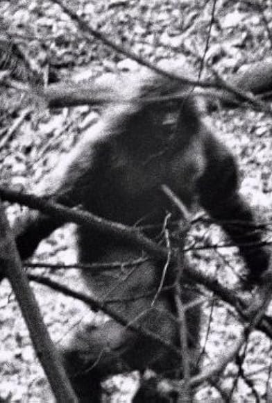 Primary photo for The Mystery of Bigfoot Primary photo for The Mystery of Bigfoot
