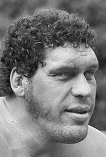 Image result for andre the giant