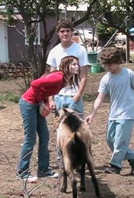 Primary photo for The Honeyfields