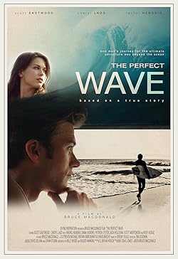 Poster of The Perfect Wave