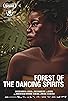 Primary photo for Forest of the Dancing Spirits
