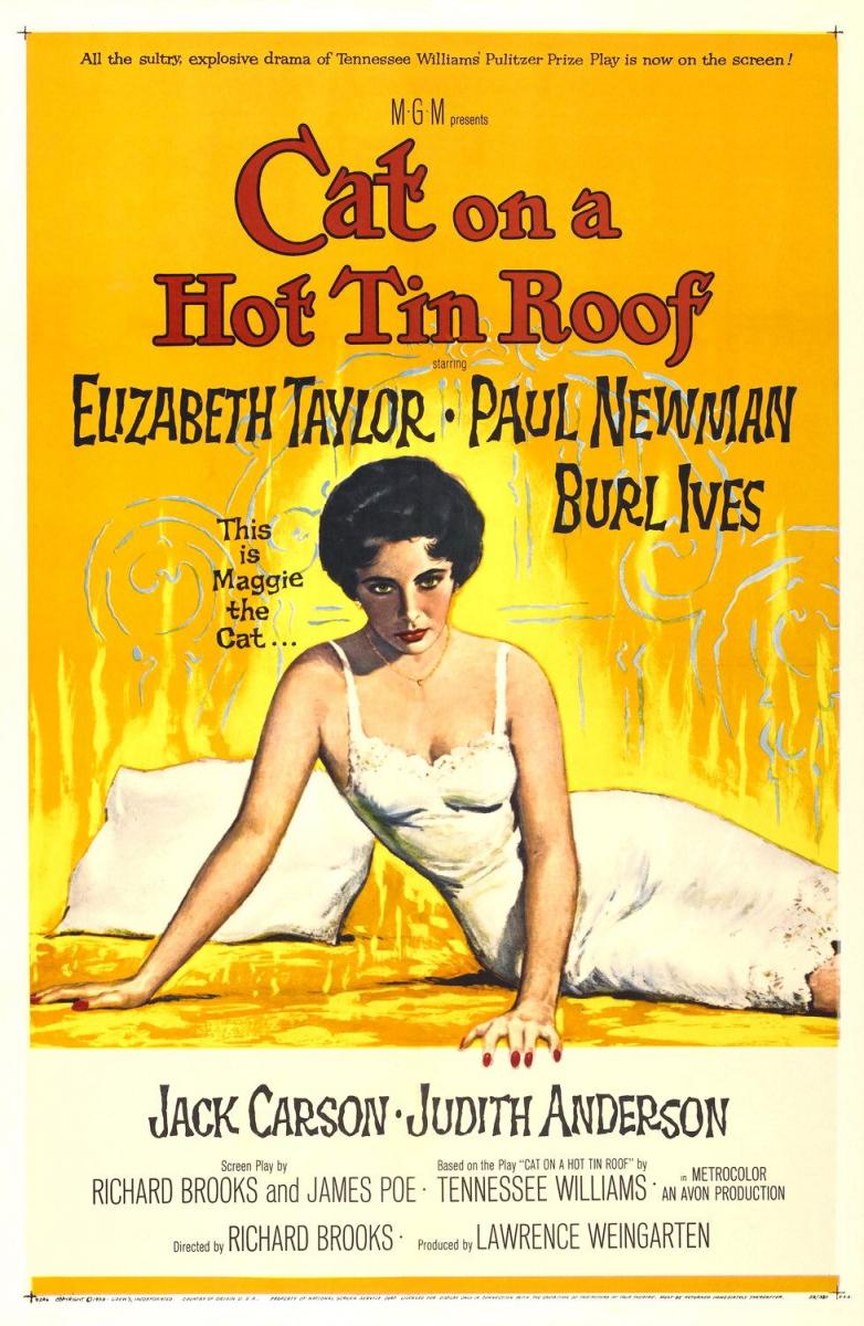 Poster of Cat on a Hot Tin Roof