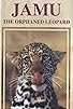 Primary photo for JAMU the Orphaned Leopard