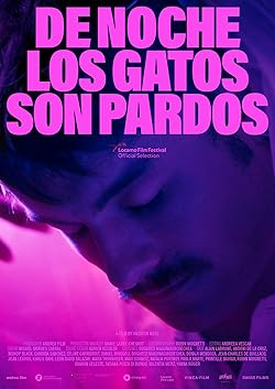 Poster of De noche los gatos son pardos
