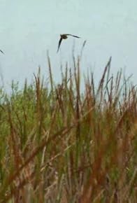 Primary photo for Episode #1.3