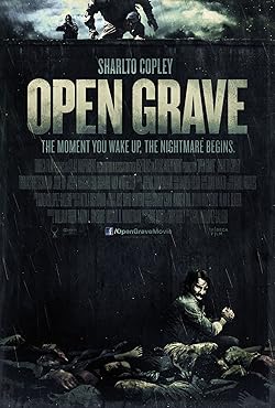 Poster of Open Grave