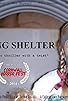Primary photo for Taking Shelter Primary photo for Taking Shelter