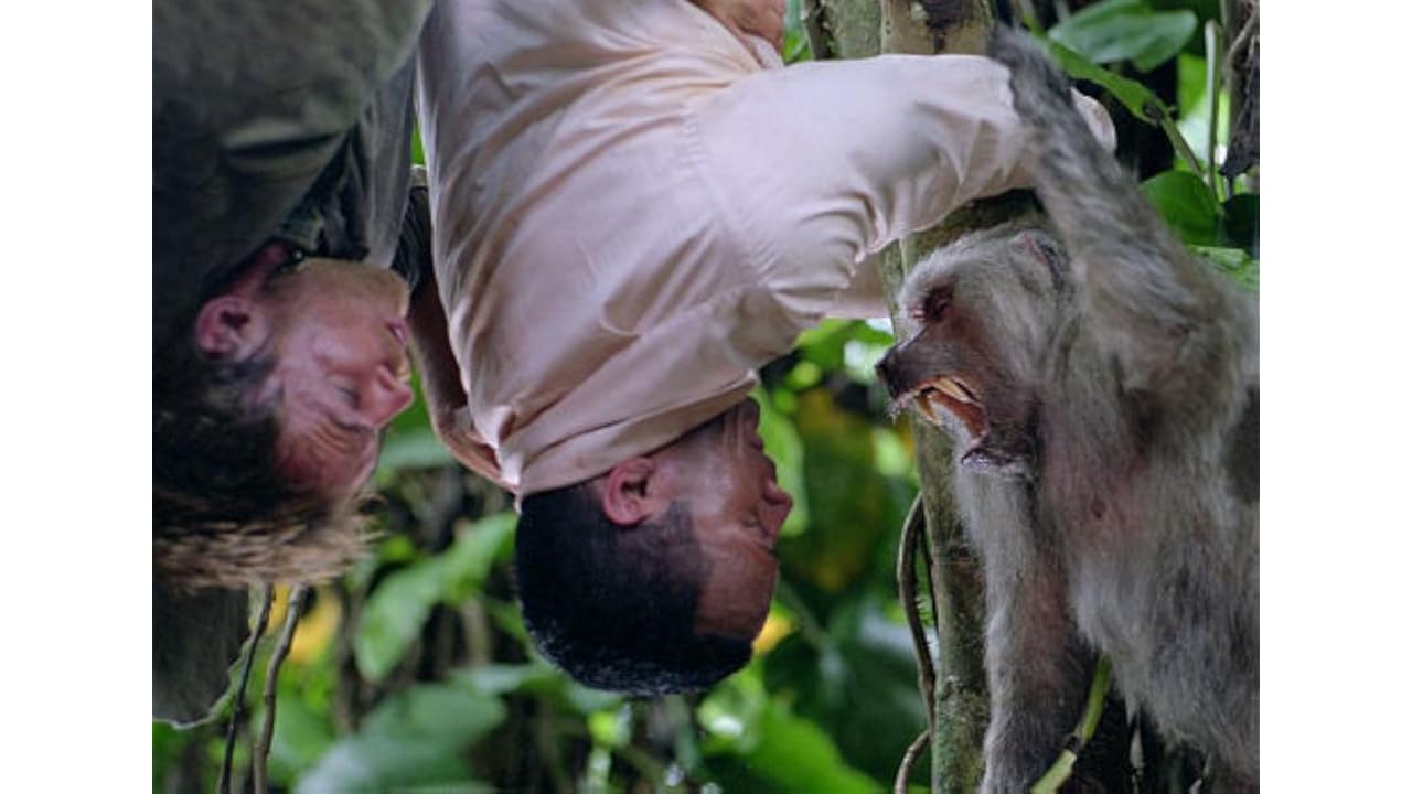 [WATCH-HD] The Rundown 2003 Online Full Movie Free