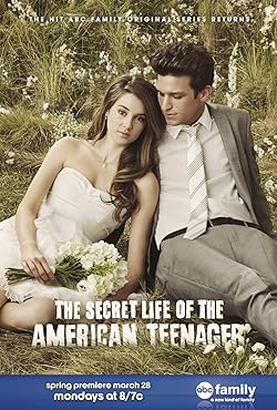 Poster of The Secret Life Of The American Teenager