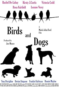 Primary photo for Birds and Dogs