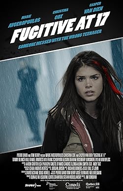 Poster of Fugitive at 17