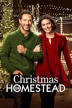 Poster of Christmas in Homestead